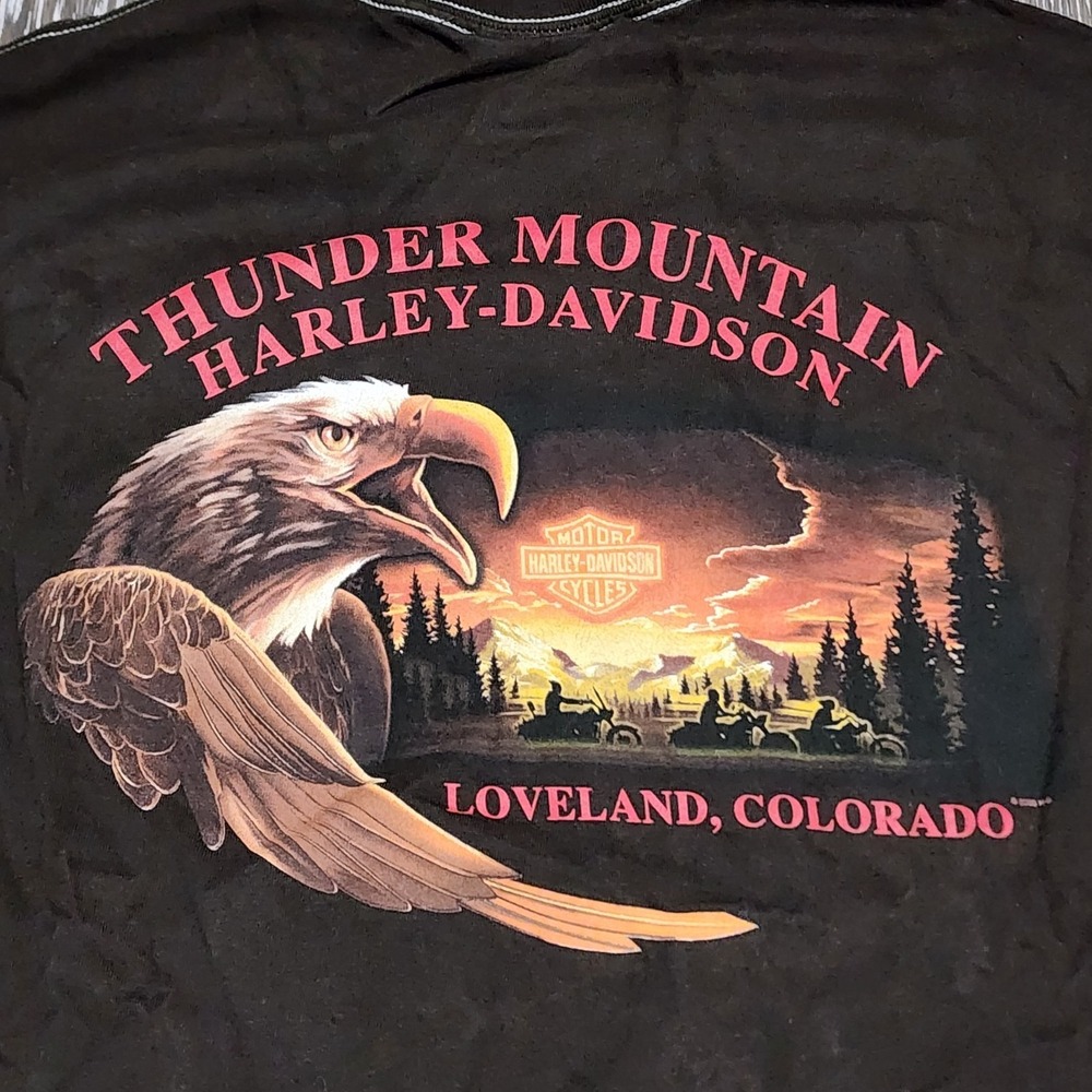 Harley Davidson Thunder Mountain Loveland Colorado Brown Shirt Men's M - Picture 6 of 8